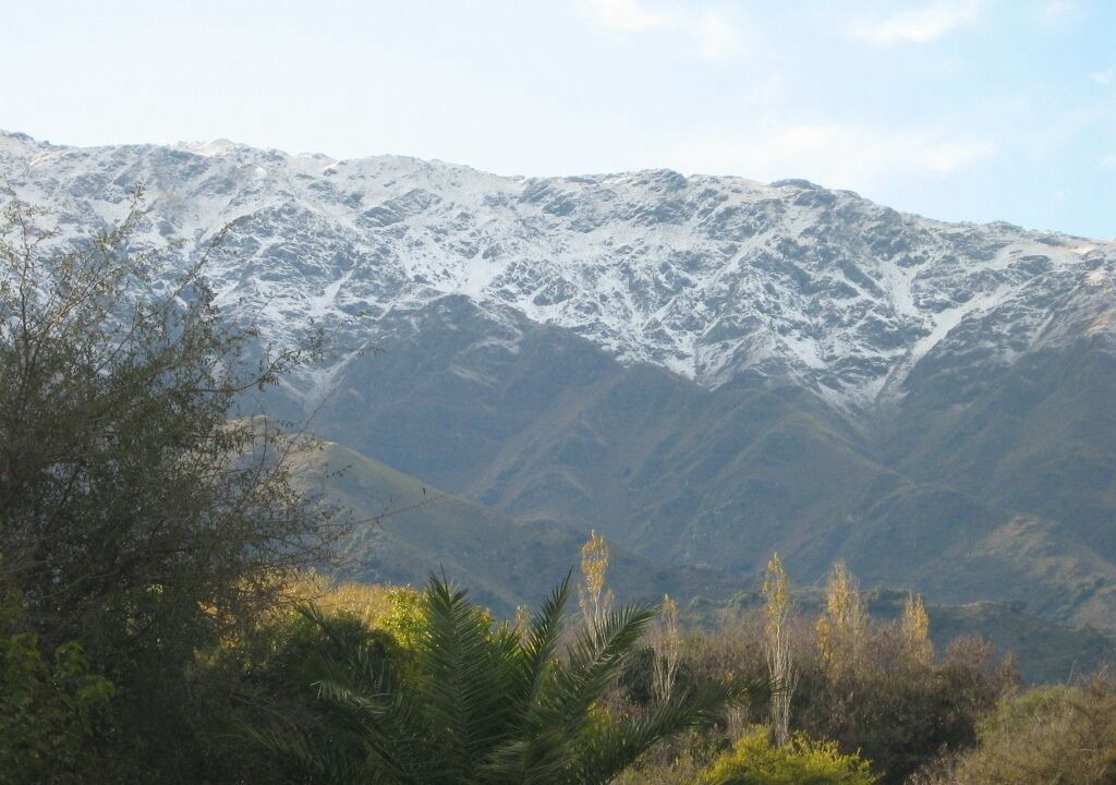 Photo of Others in Merlo