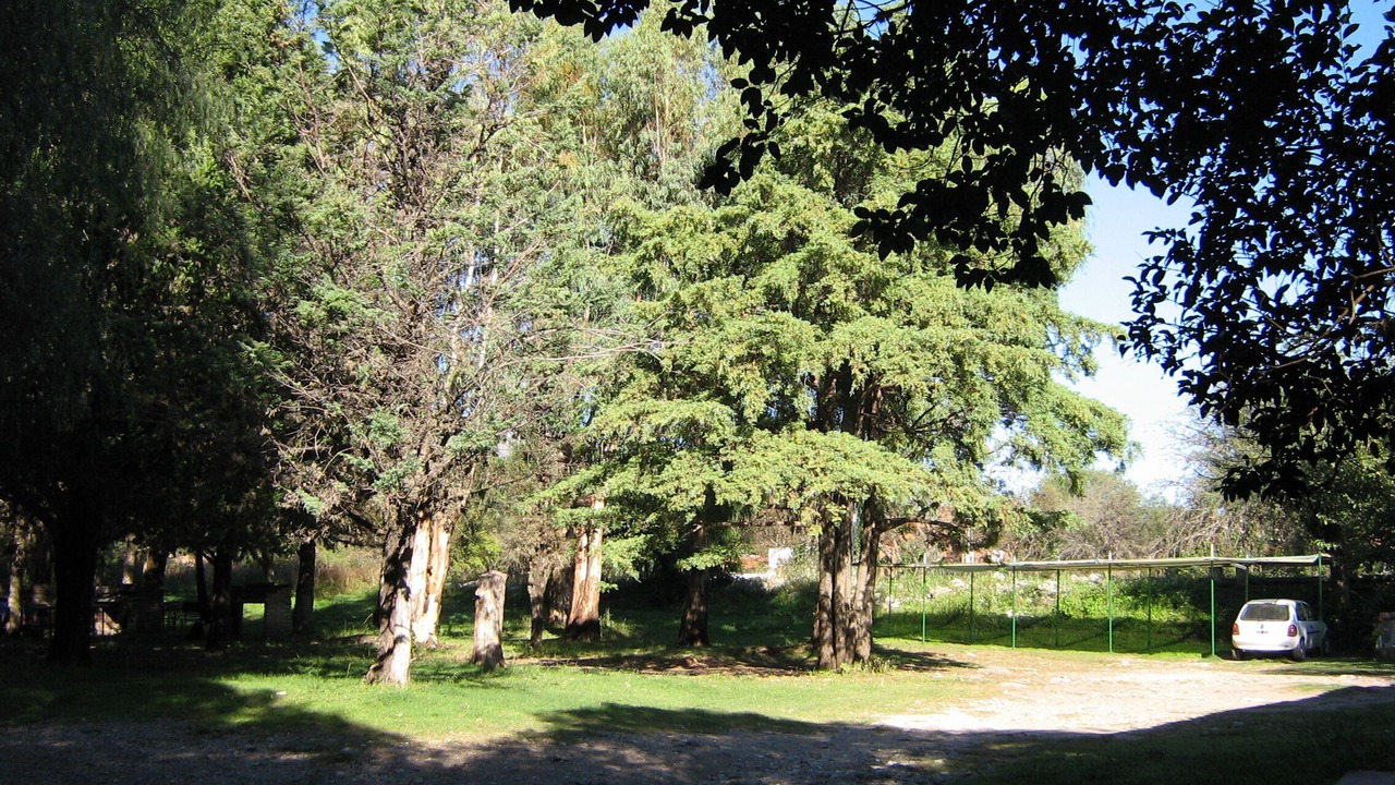 Photo of Outdoor in Merlo
