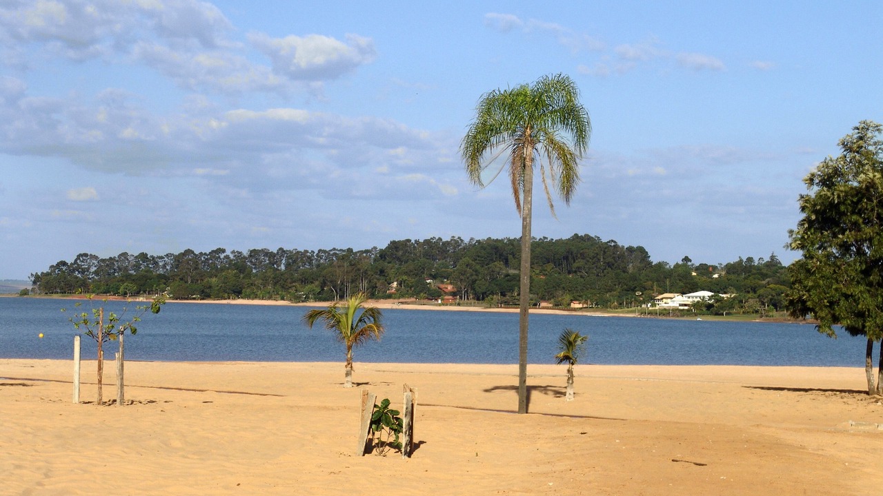 Photo of Others in Avare