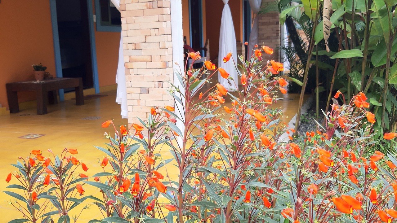 Photo of Bedroom in Agua Branca
