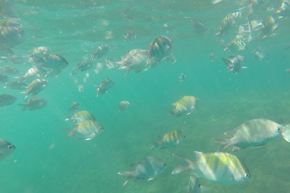Photo of Outdoor in Praia do Pauba