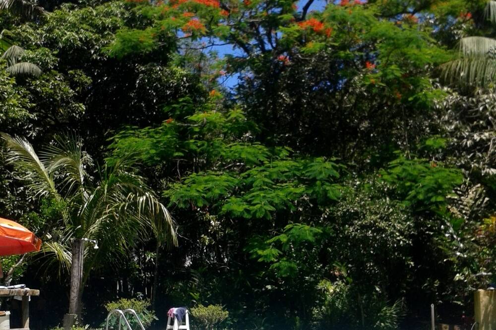 Photo of Outdoor in Praia do Pauba