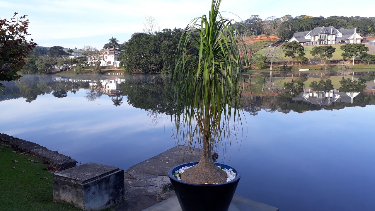 Photo of Outdoor in Caiocara