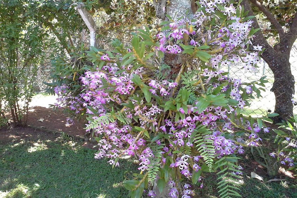Photo of Outdoor in Jundiai