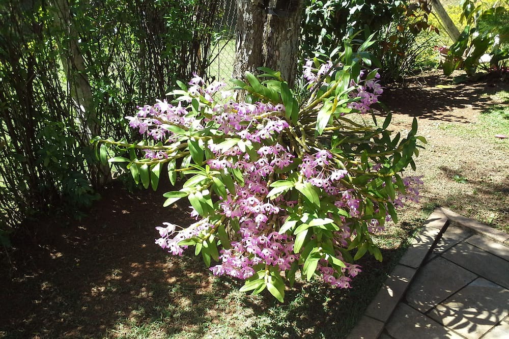 Photo of Outdoor in Jundiai