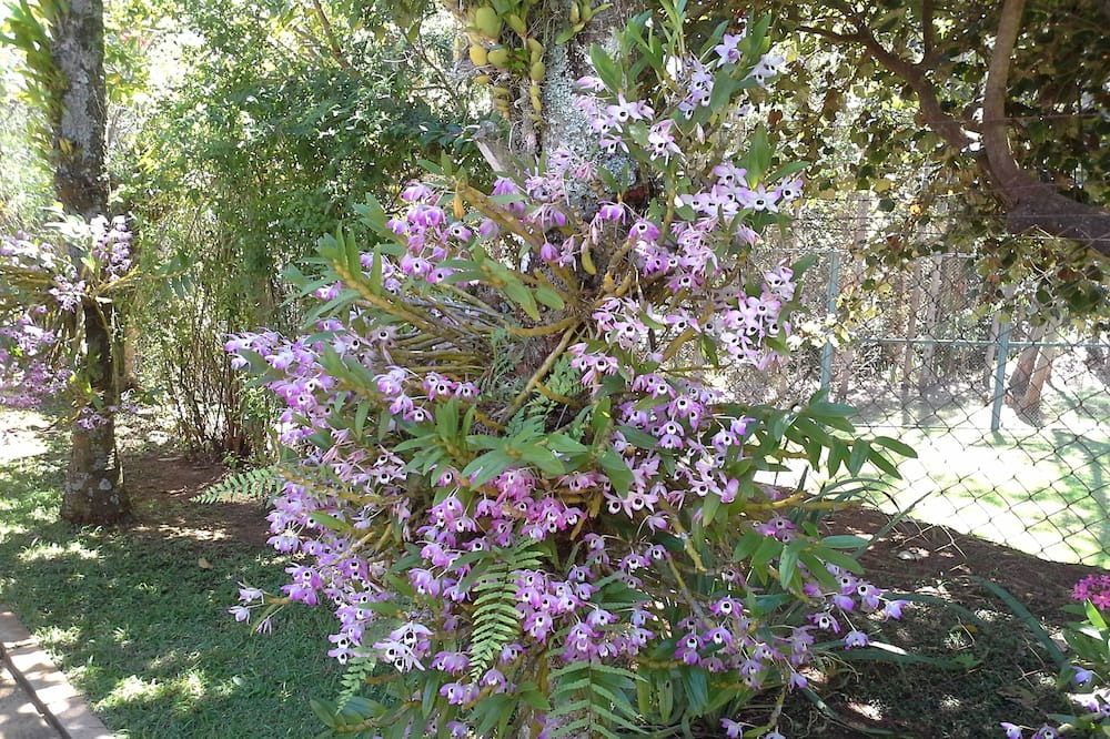 Photo of Outdoor in Jundiai
