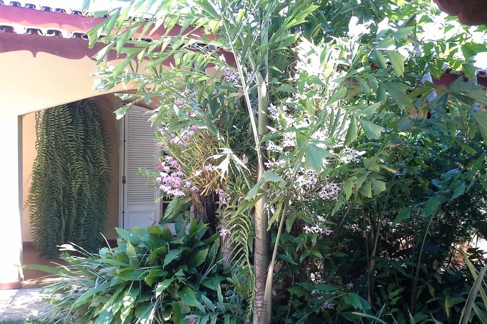 Photo of Outdoor in Jundiai