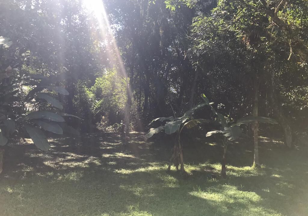 Photo of Outdoor in Costa do Sol