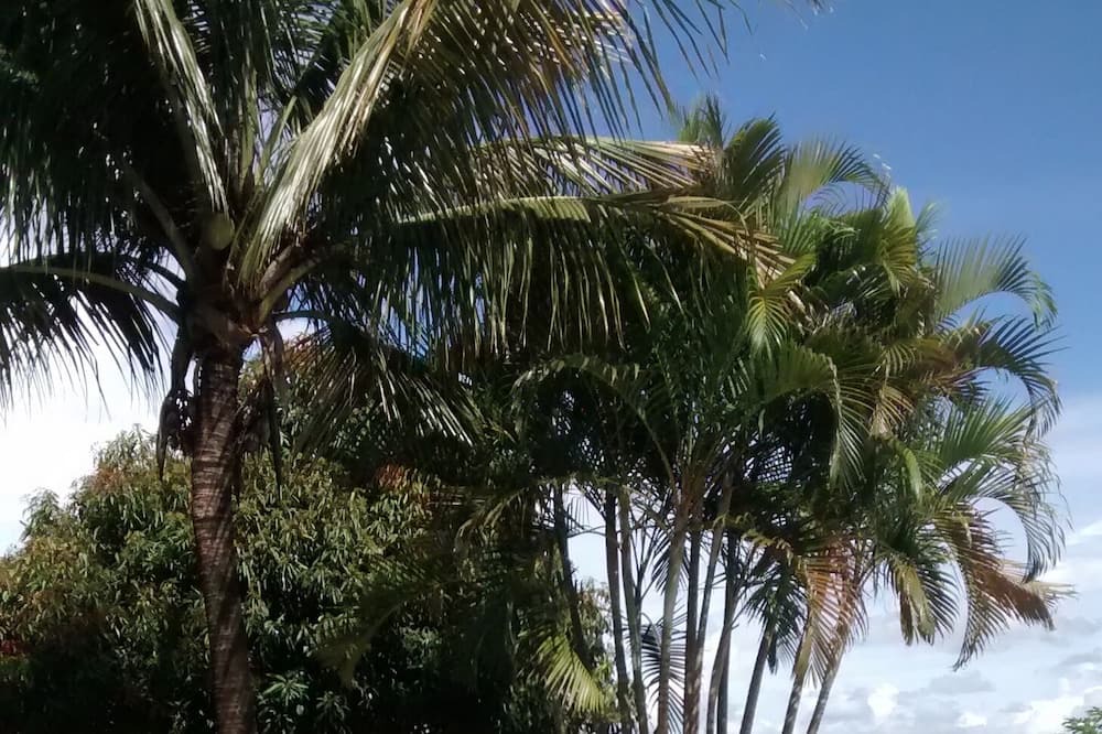 Photo of Outdoor in Sao Pedro