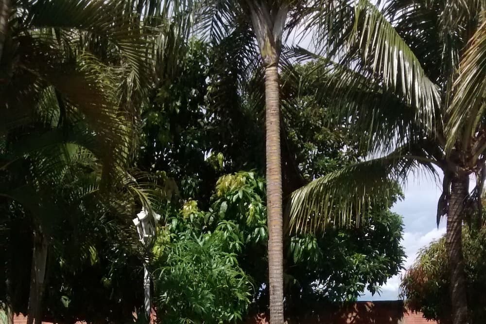 Photo of Outdoor in Sao Pedro