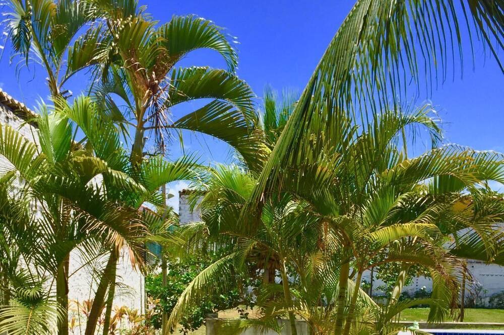 Photo of Outdoor in Brejo