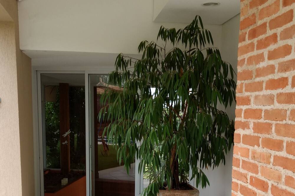 Photo of Patio Balcony in Salto
