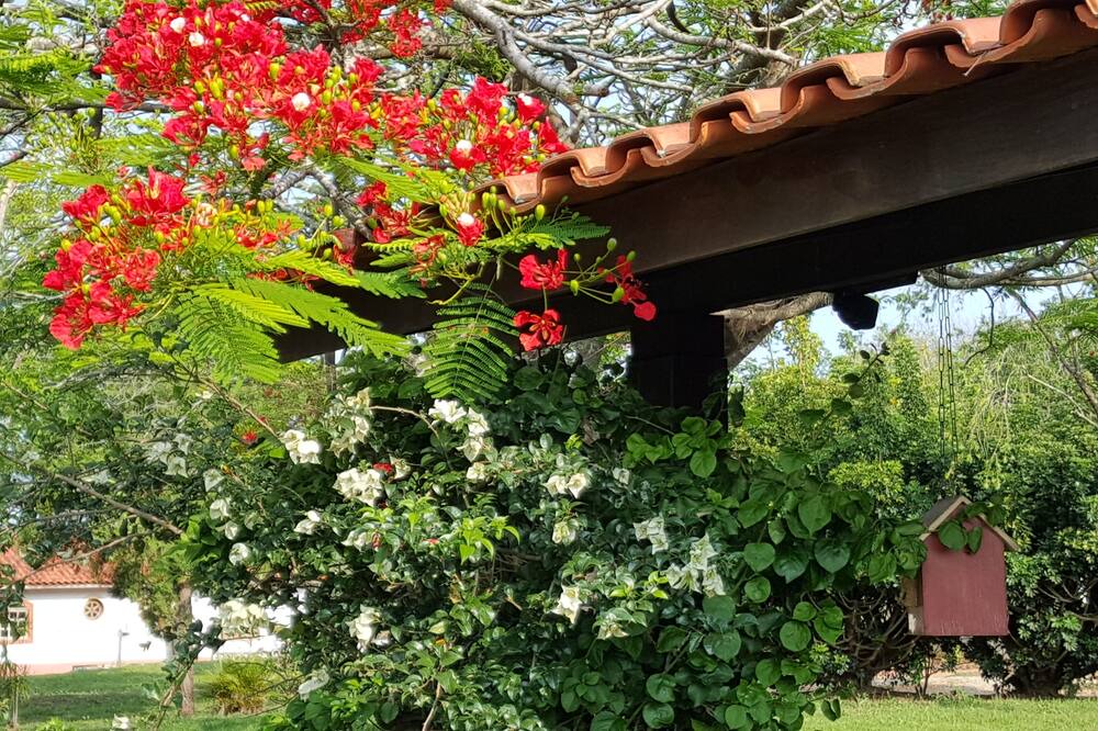 Photo of Outdoor in Alambari