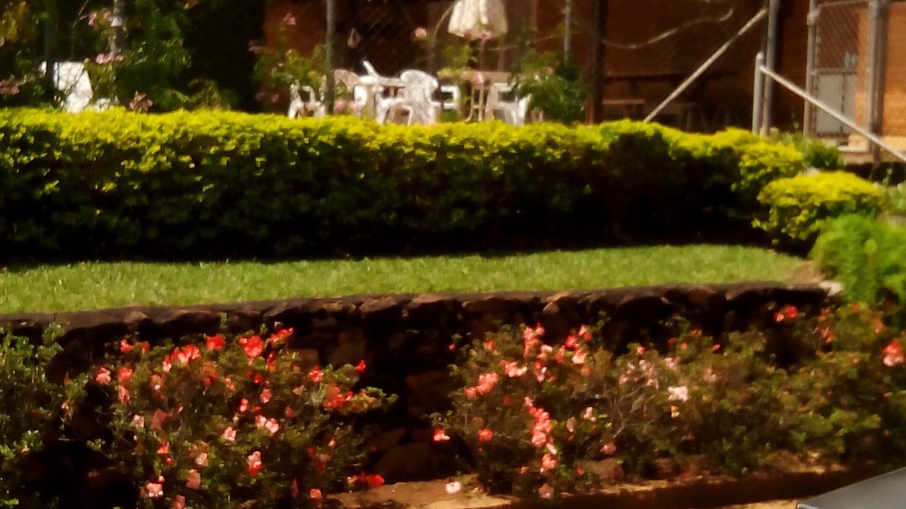 Photo of Outdoor in Monte Alegre do Sul