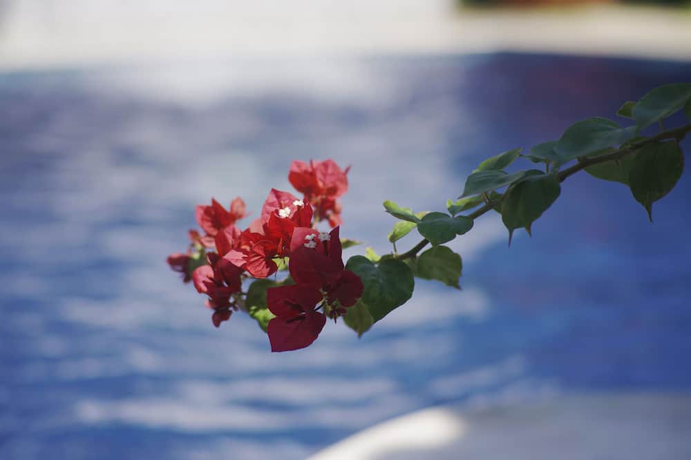 Photo of Outdoor in Praia do Pauba