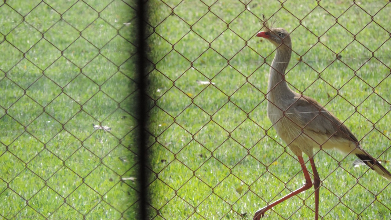 Photo of Others in Jardim Itaguacu