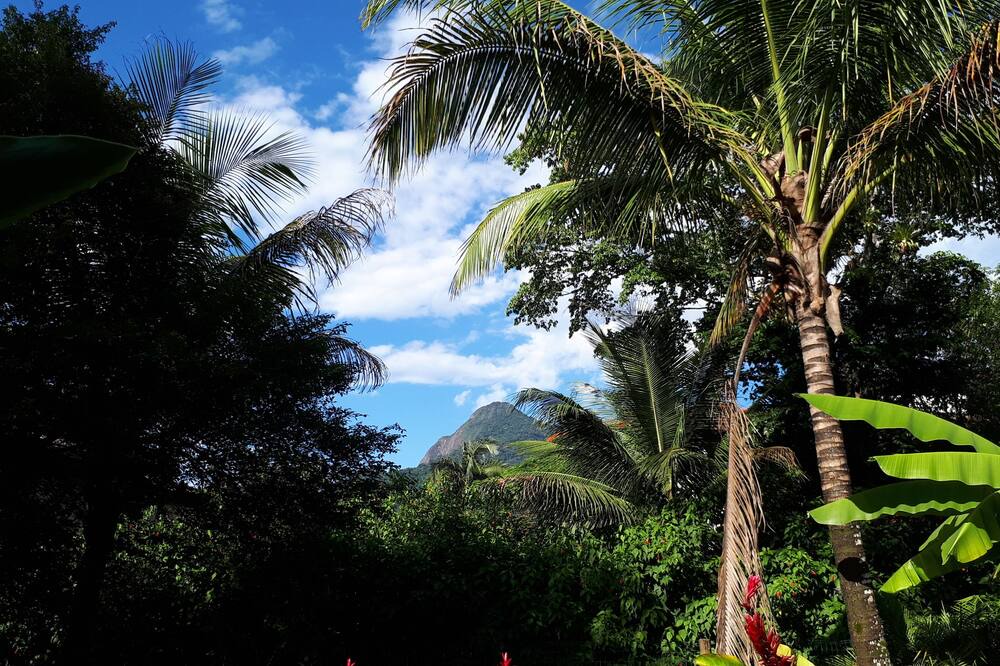 Photo of Outdoor in Cocaia