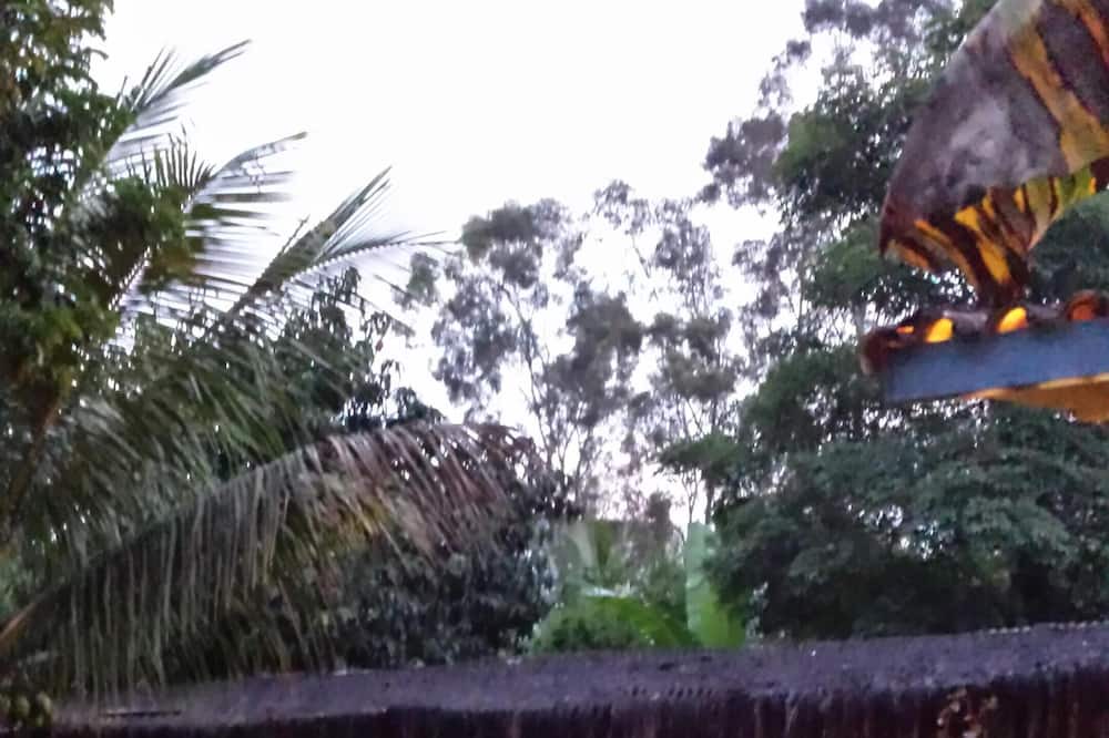 Photo of Outdoor in Cocaia