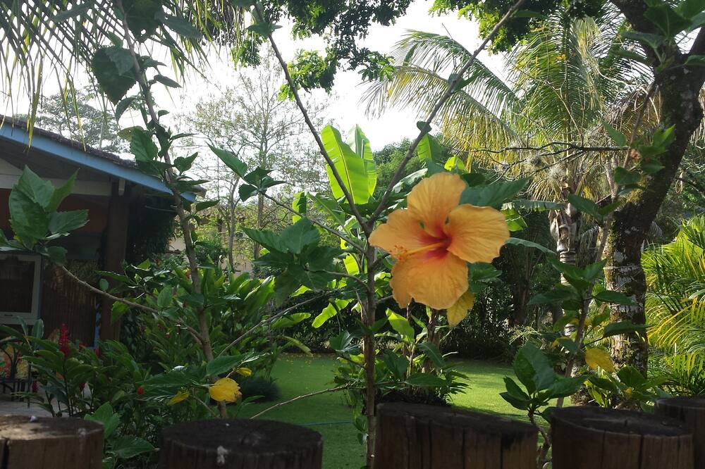 Photo of Outdoor in Cocaia