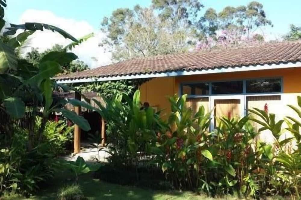 Photo of Outdoor in Cocaia