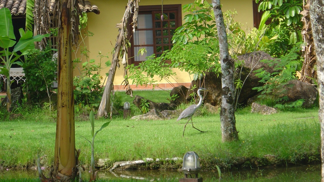Photo of Outdoor in Camburi