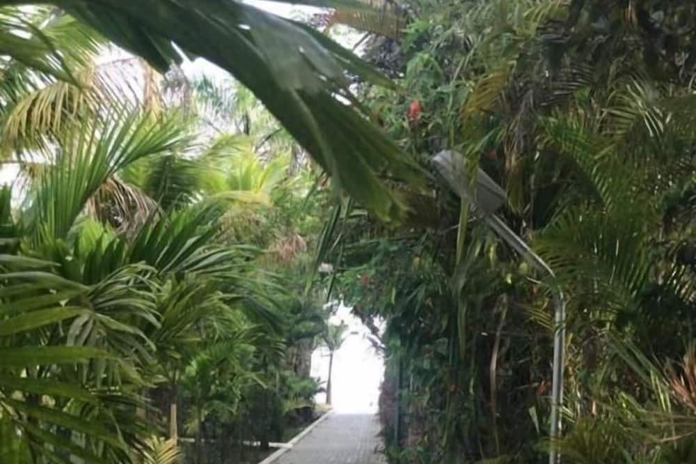 Photo of Outdoor in Costa do Sol