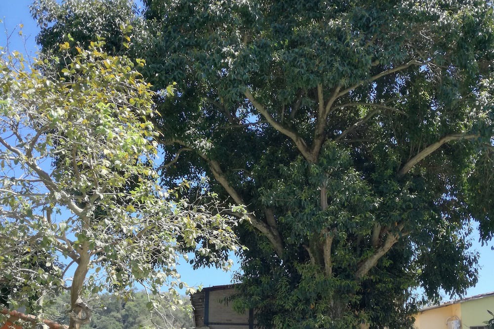 Photo of Outdoor in Barra Velha