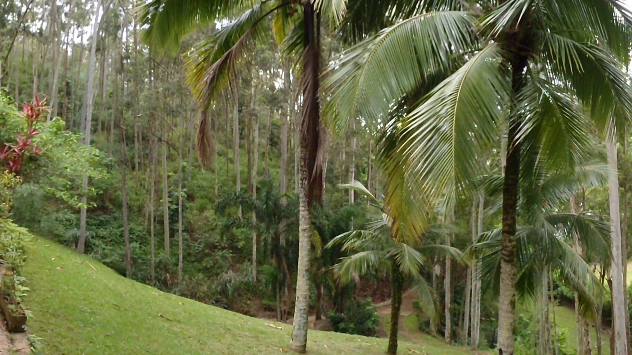 Photo of Outdoor in Praia de Barequecaba