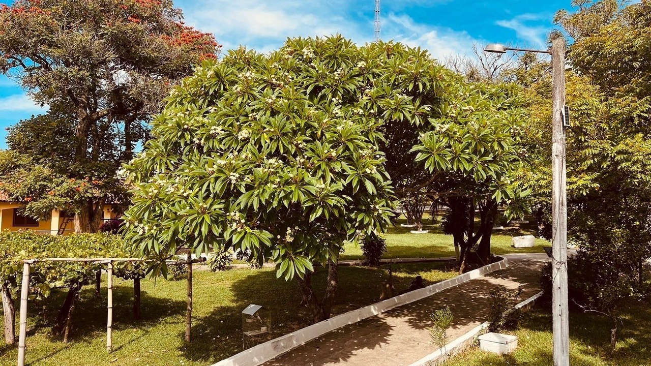 Photo of Others in Jardim Pedro Zalla