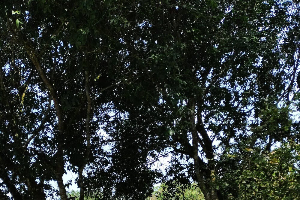 Photo of Outdoor in Itanhaem