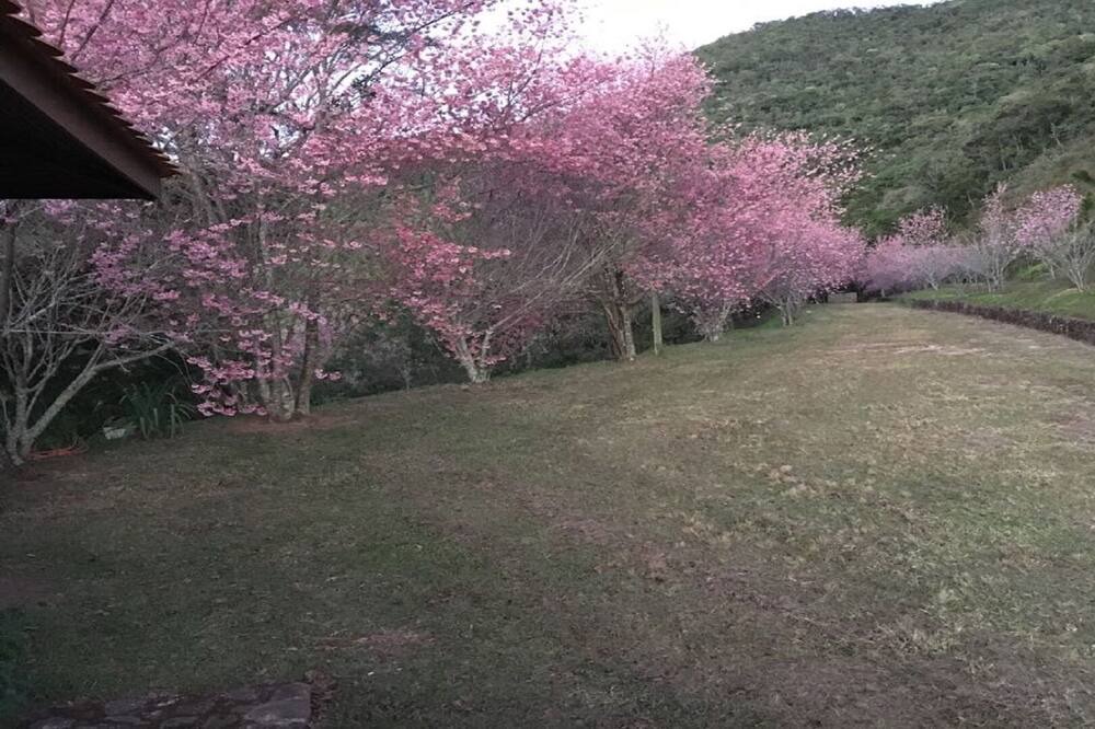 Photo of Outdoor in Santo Antonio do Pinhal
