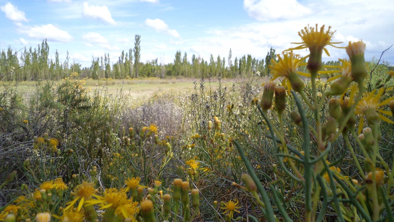 Photo of Outdoor in Cuadro Nacional