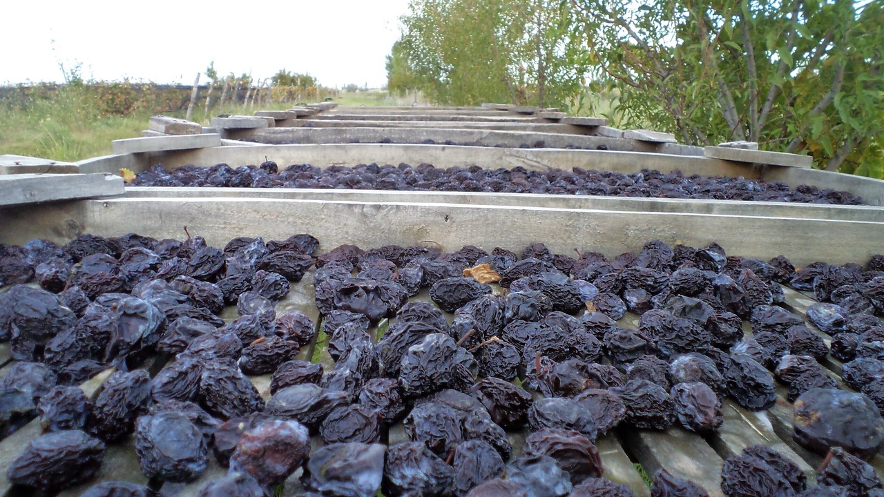 Photo of Outdoor in Cuadro Nacional