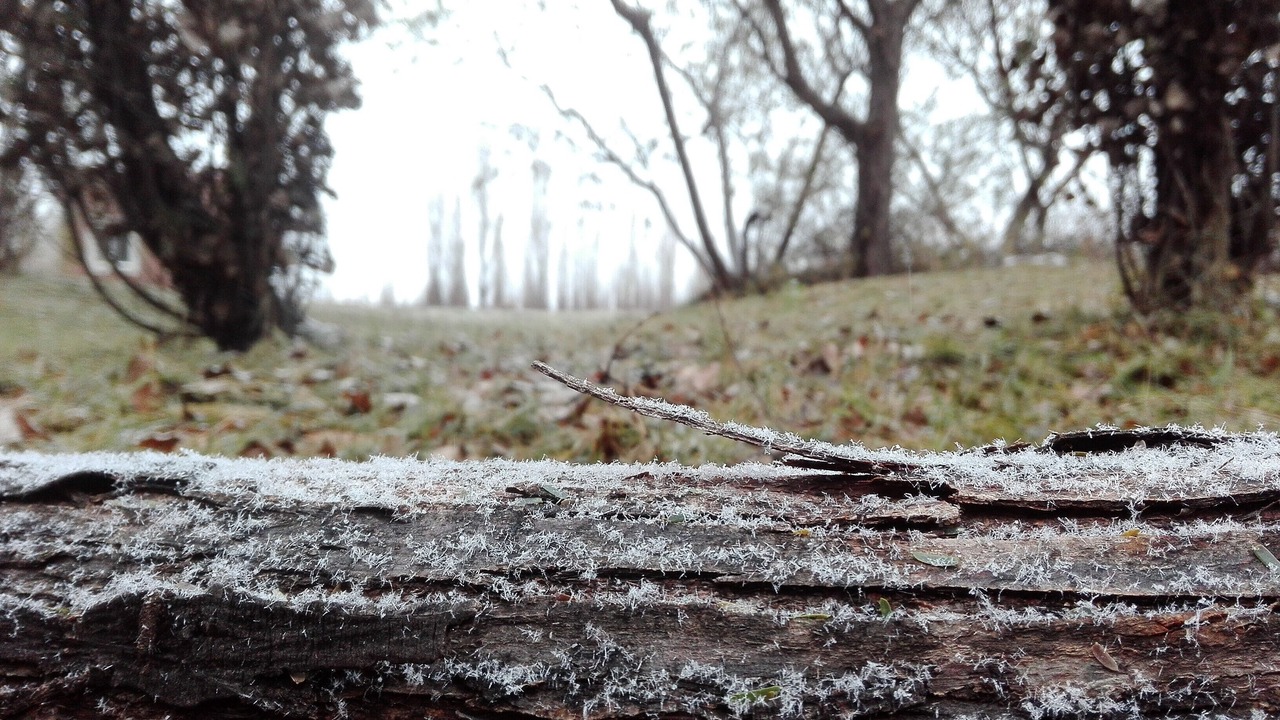 Photo of Outdoor in Cuadro Nacional