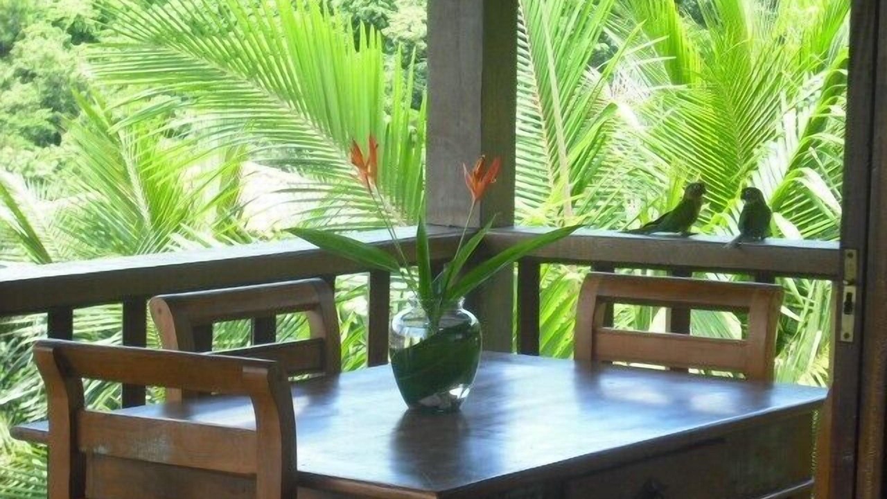 Photo of Others in Ilhabela