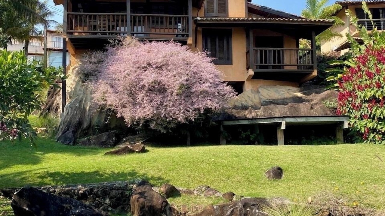 Photo of Outdoor in Ilhabela