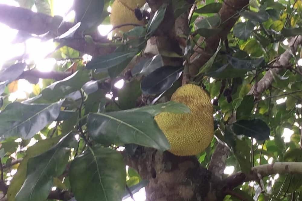 Photo of Outdoor in Costa do Sol