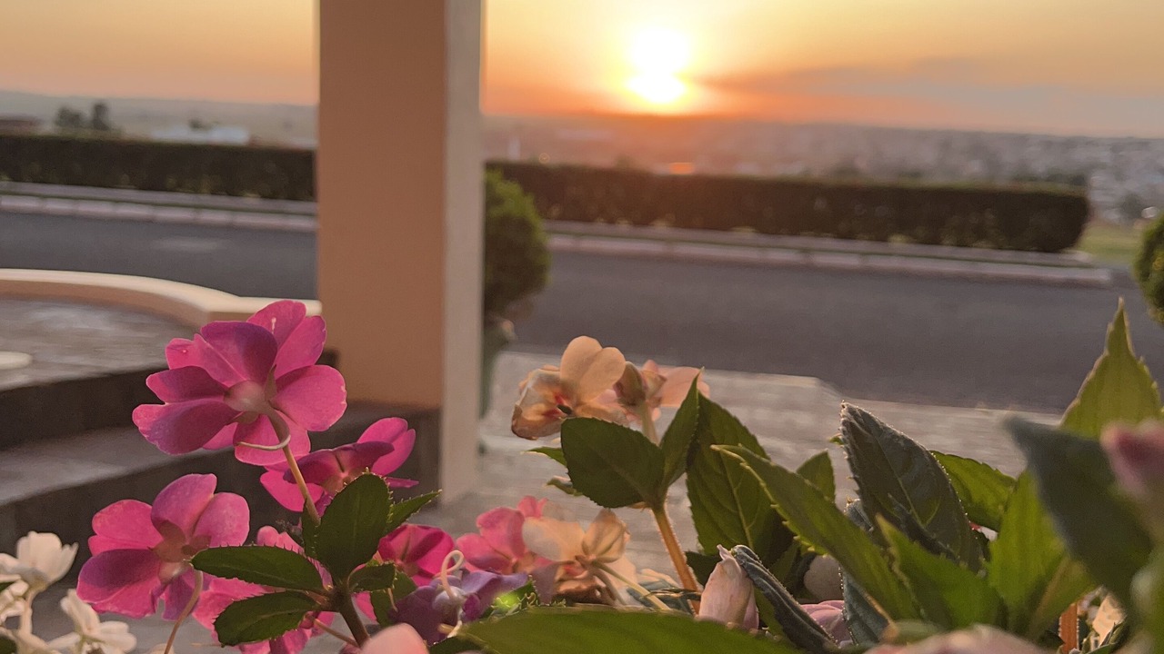Photo of Outdoor in Orlandia