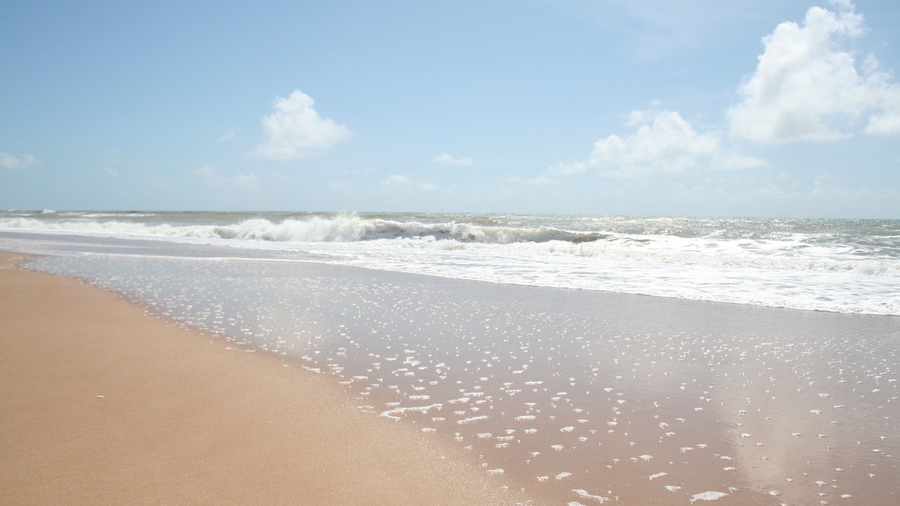 Photo of Others in Porto de Sauipe