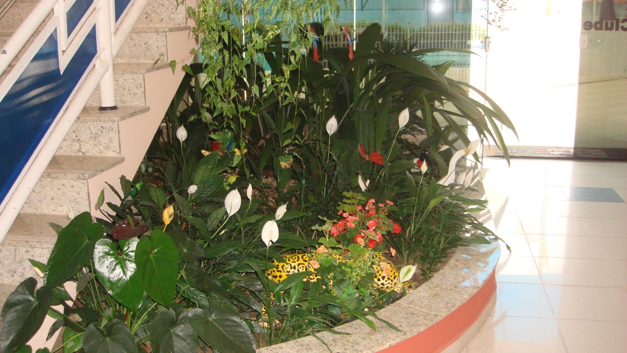 Photo of Outdoor in Santa Terezinha