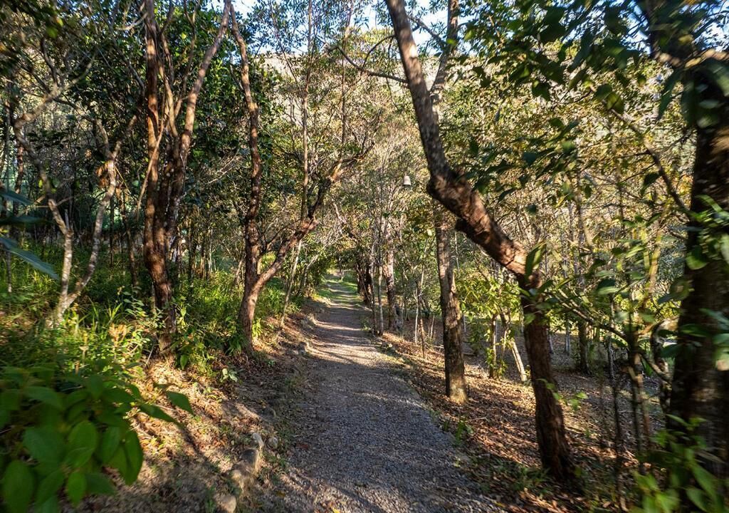 Photo of Outdoor in Pati Valley