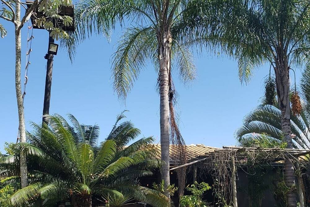 Photo of Outdoor in Charqueada