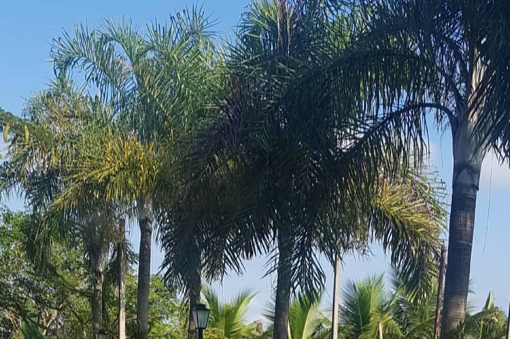 Photo of Outdoor in Charqueada