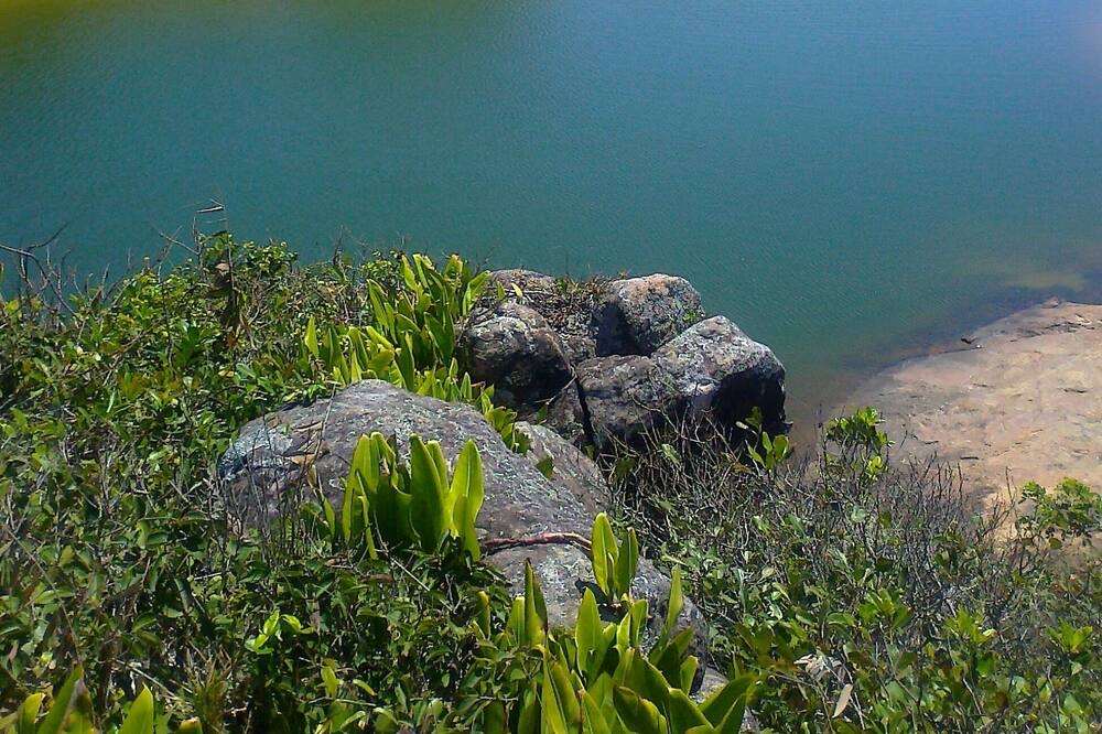 Photo of Others in Jardim Capricornio