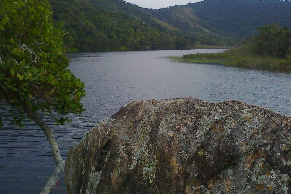Photo of Others in Jardim Capricornio
