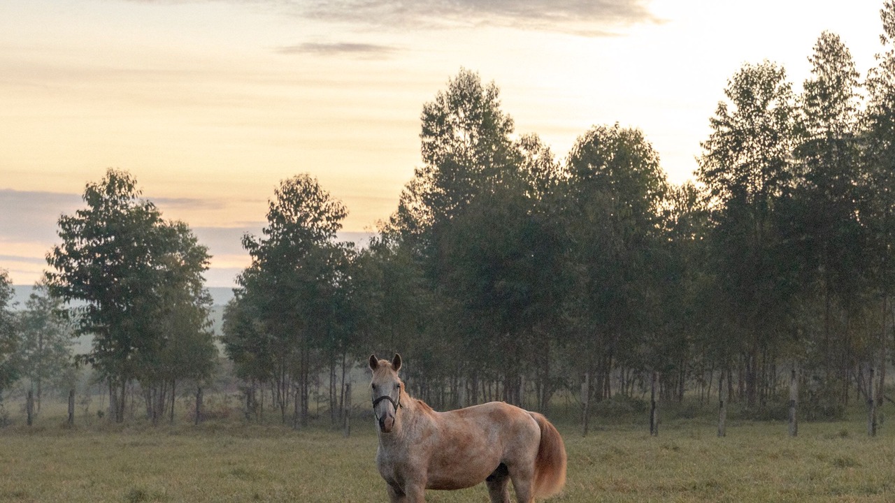 Photo of Outdoor in Brotas