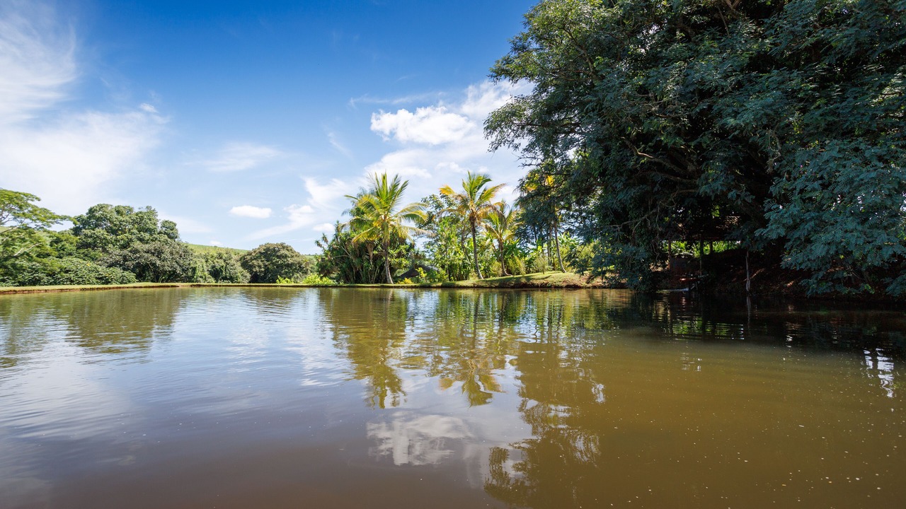 Photo of Outdoor in Brotas