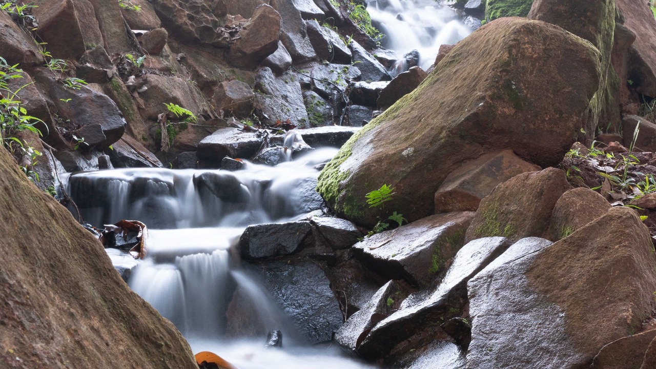 Photo of Outdoor in Brotas