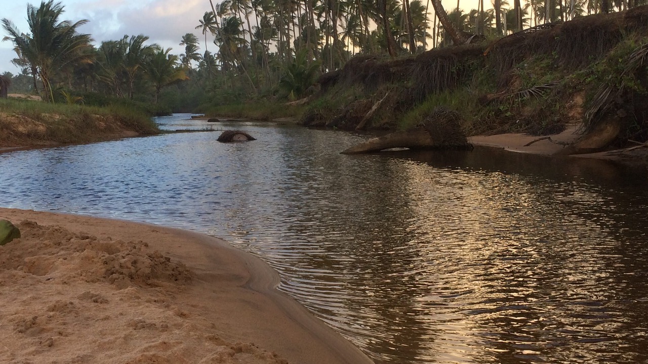 Photo of Others in Barra Grande