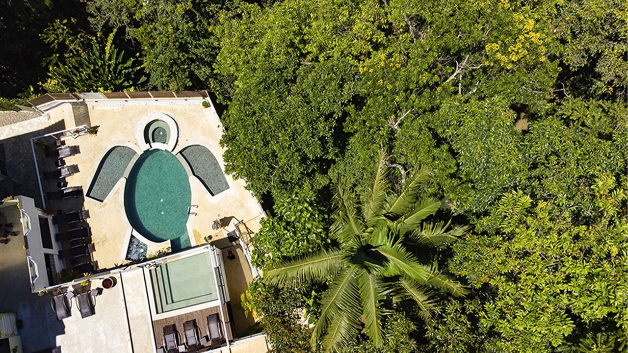 Photo of Outdoor in Tenorio
